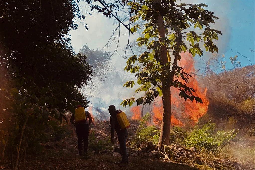 Van 72 incendios de pastizales registrados en Pinotepa Nacional