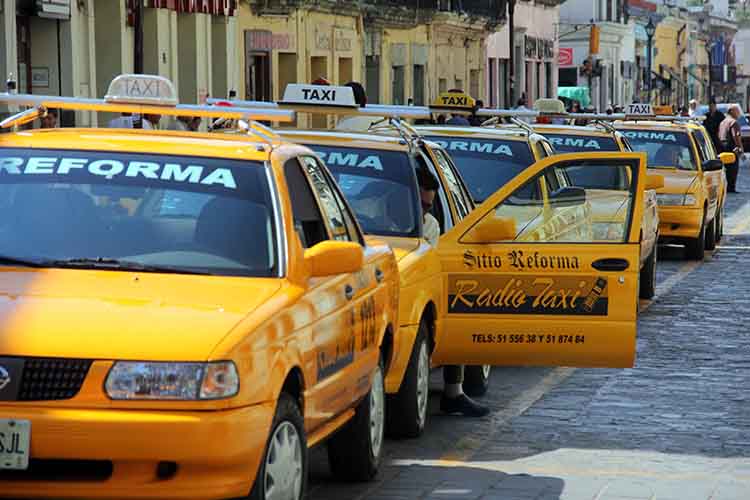 Informa Semovi sobre elementos de identidad para unidades del servicio público concesionado Informa Semovi sobre elementos de identidad para unidades del servicio público concesionado