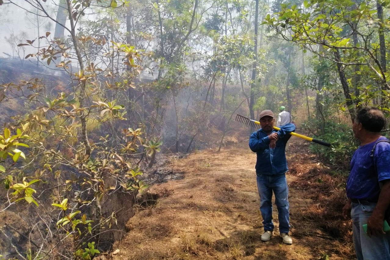Controlan incendio forestal en Santiago Jamiltepec