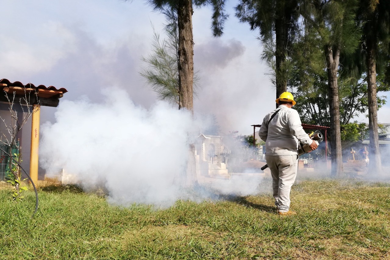 En temporada de lluvia, vital la limpieza en los hogares para combatir al dengue: SSO