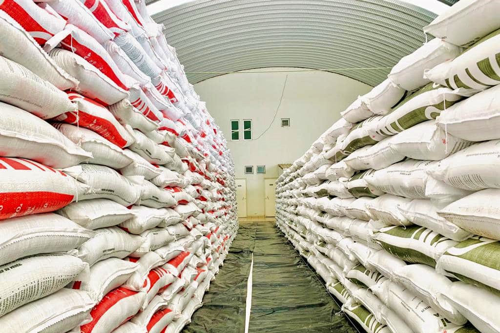 Alistan entrega de fertilizantes a productores de maíz en la Costa