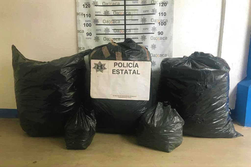 Decomisan más de 50 kilogramos de marihuana en San Pedro Mixtepec Decomisan más de 50 kilogramos de marihuana en San Pedro Mixtepec