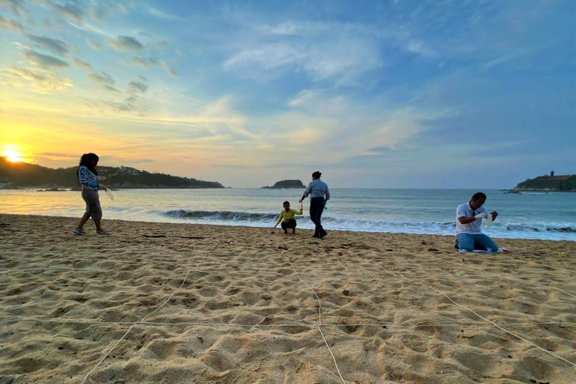17 playas aptas para uso recreativo en Oaxaca