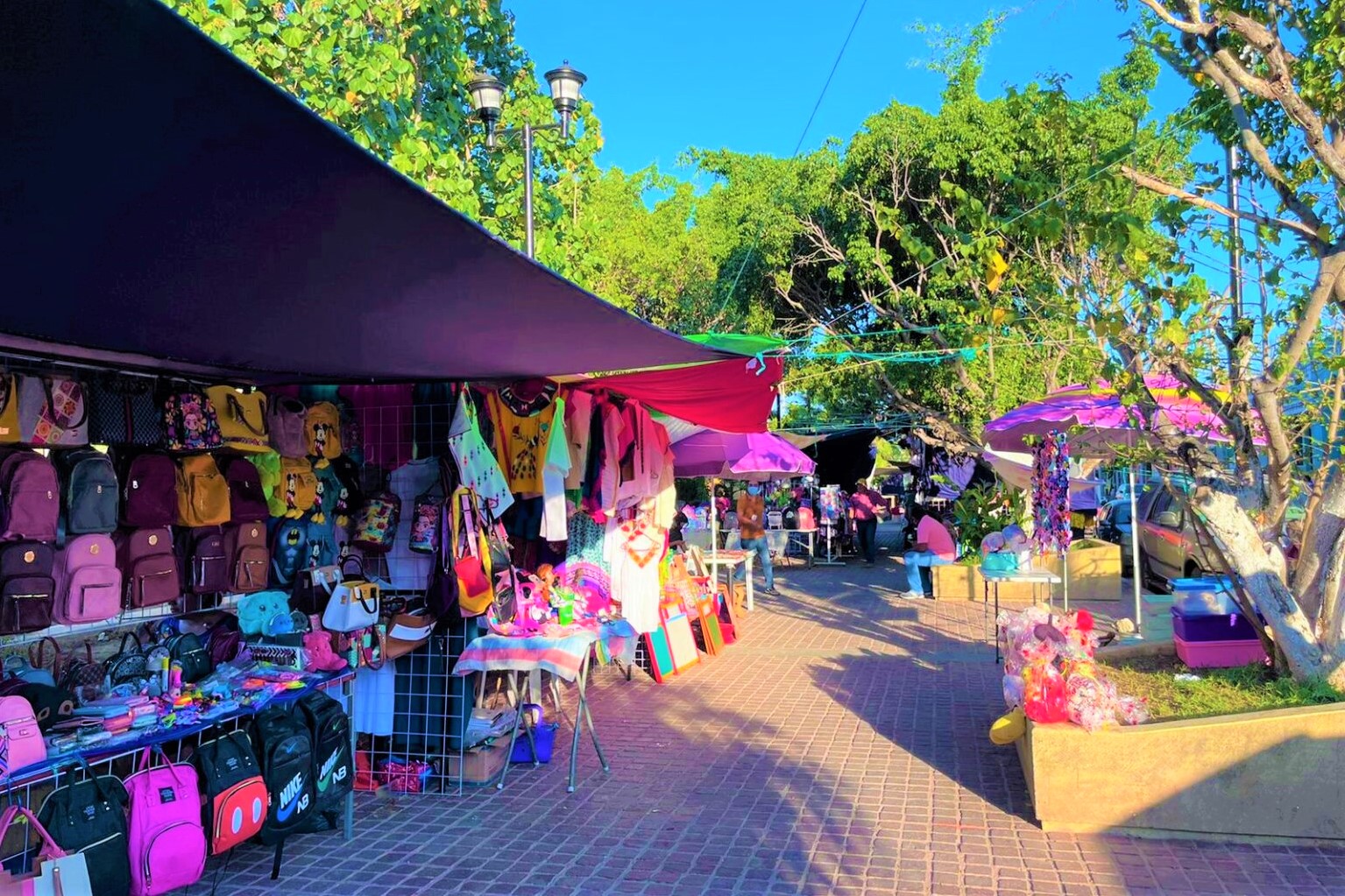 Falso inspector estafa a pequeños comerciantes en Pinotepa Nacional