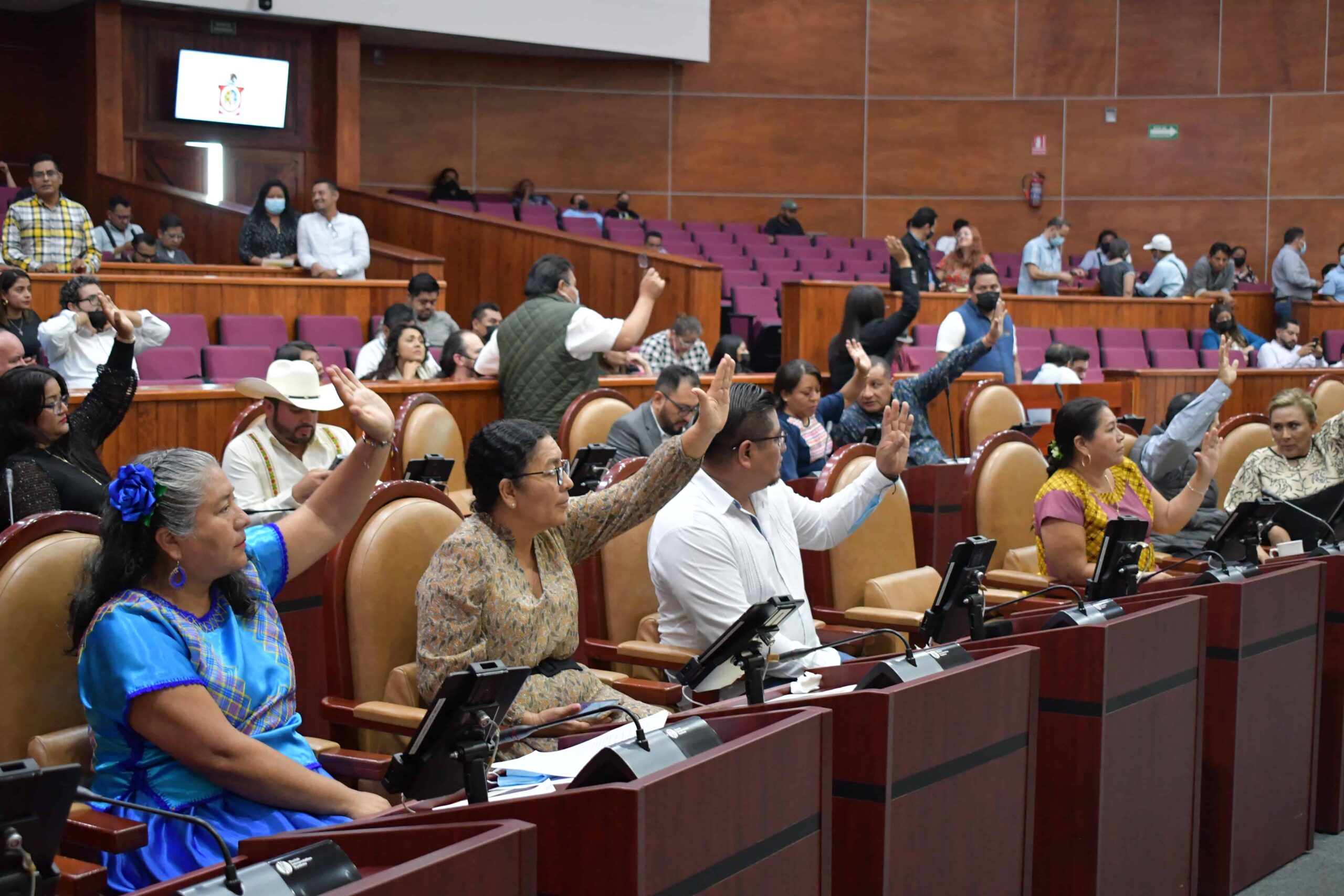 Pide Congreso intensificar campañas de fumigación para combatir dengue, zika y chikungunya en el estado