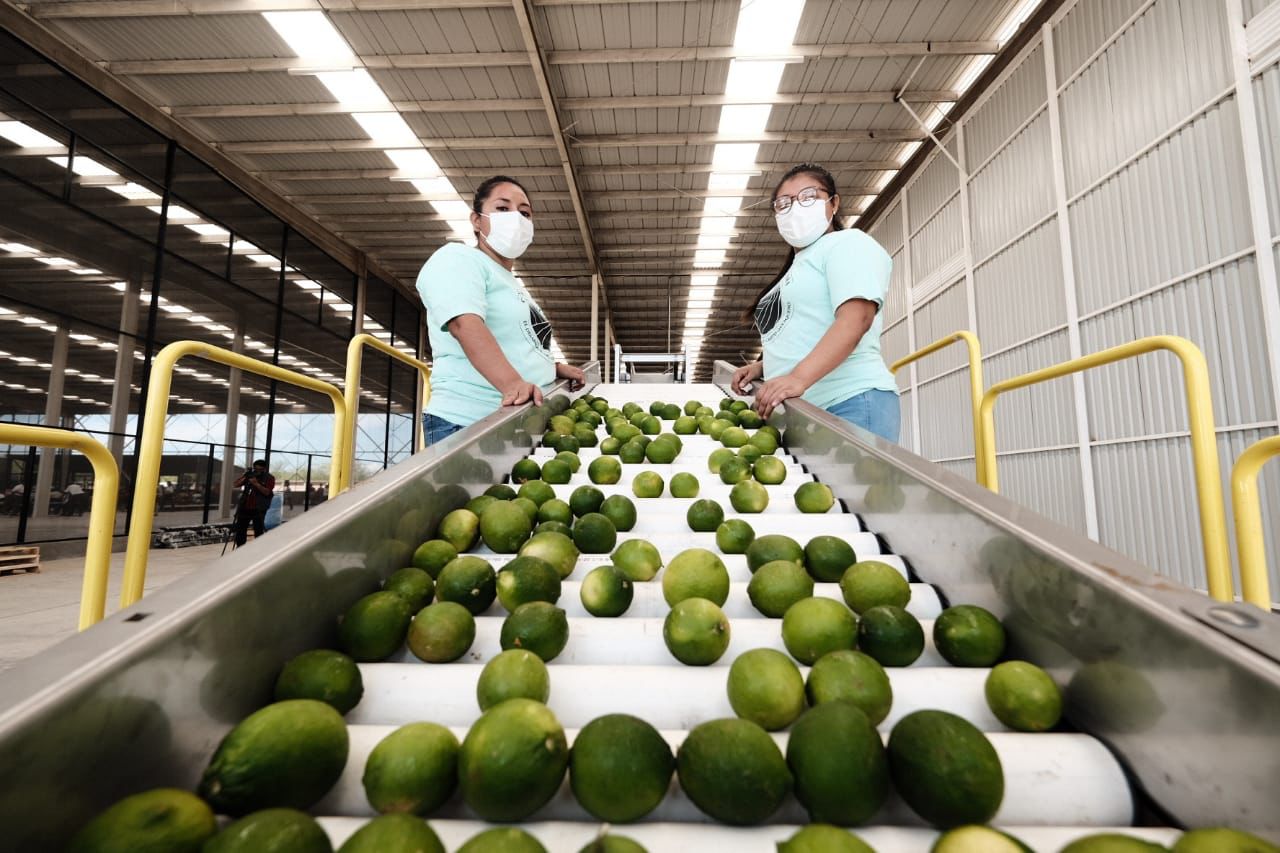 Inaugura Sedapa Agroparque del Istmo de Tehuantepec