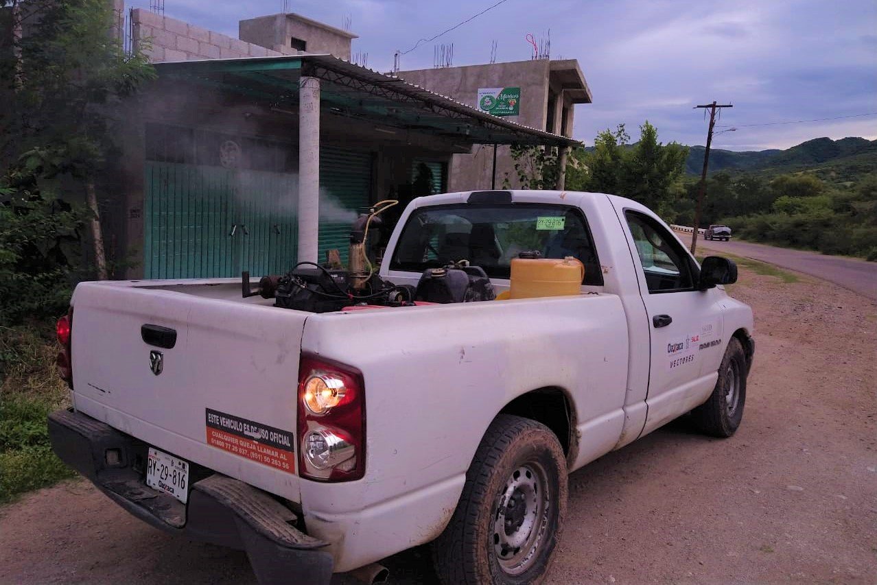 Casos de dengue al alza en la Mixteca; van 14 confirmados