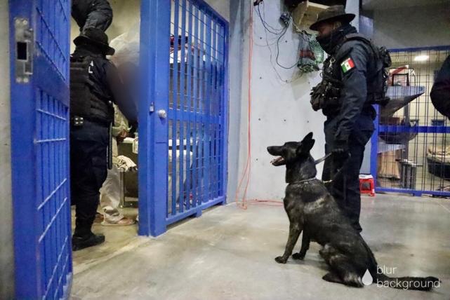 En operativo, encuentran armas y drogas en Penal de Tanivet en Oaxaca En operativo, encuentran armas y drogas en Penal de Tanivet en Oaxaca