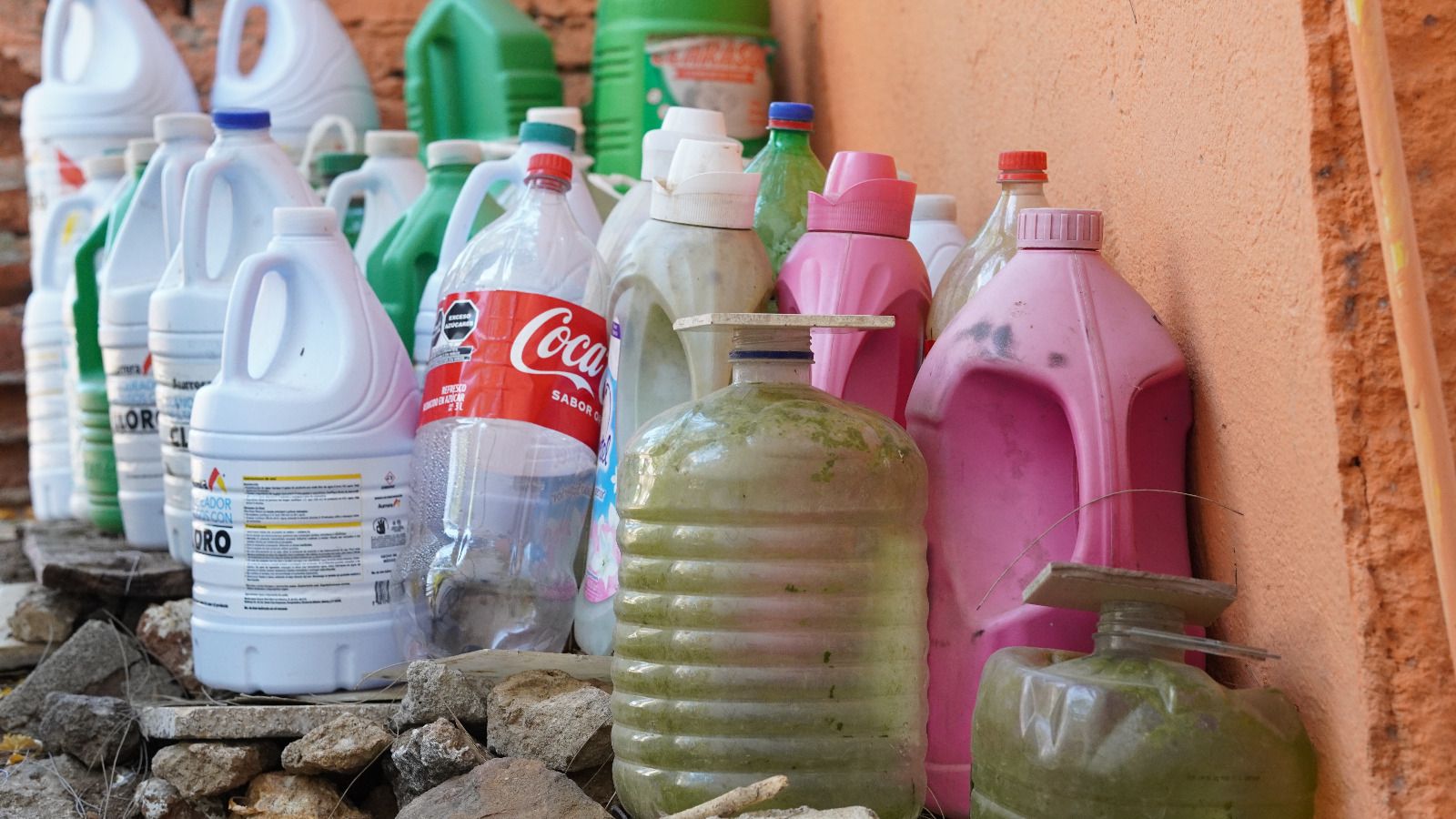 Llama SSO a sumar esfuerzos en los hogares para evitar enfermar de dengue