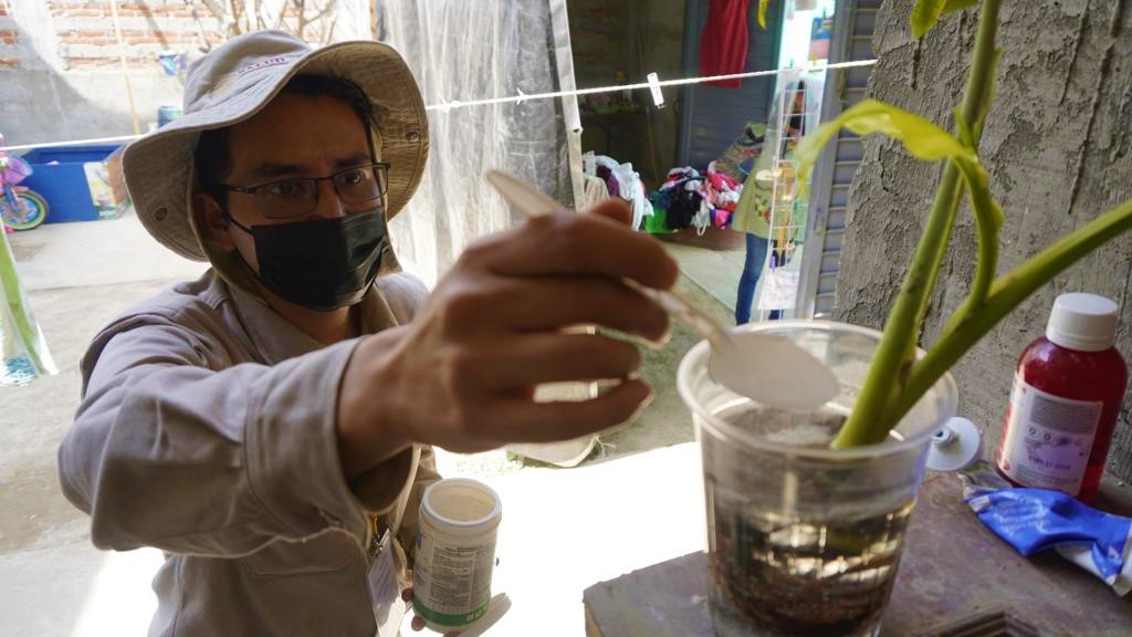 Llaman a la ciudadanía a evitar la proliferación de mosquitos transmisores del dengue