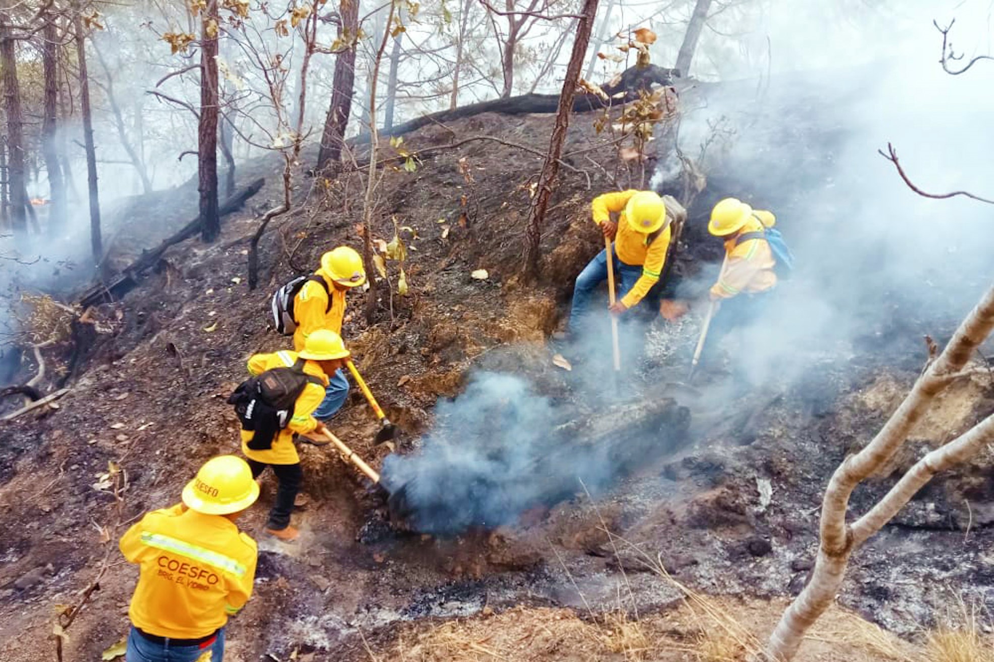 Ocupa la Costa segundo lugar en número de incendios forestales