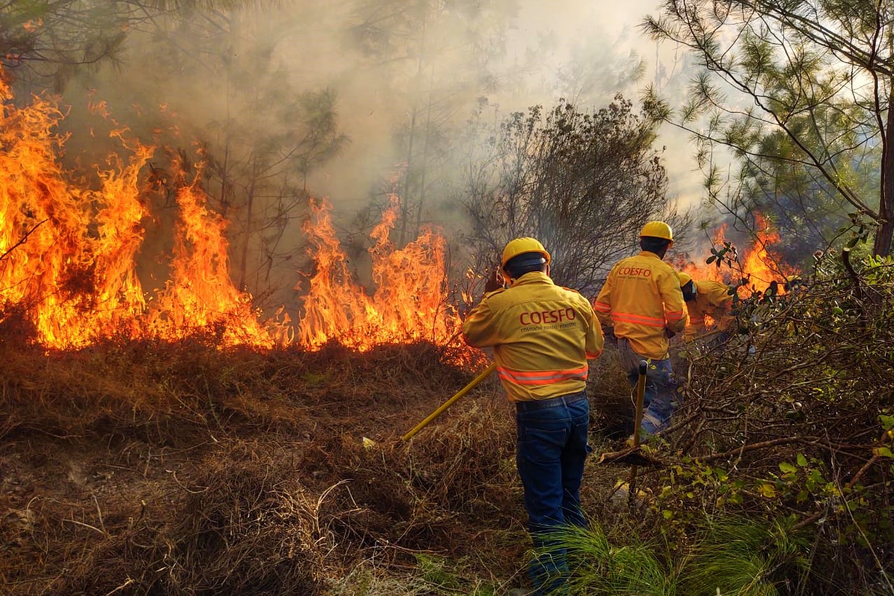 Atiende Coesfo 10 incendios activos en Oaxaca
