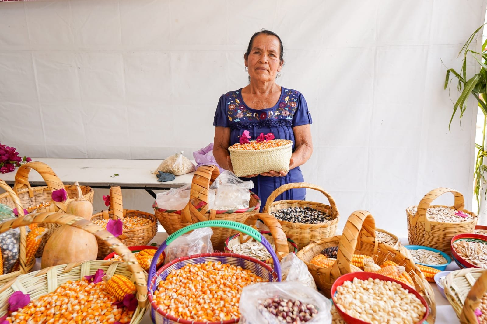 Buscan abatir el hambre y rezago que sufren campesinos oaxaqueños