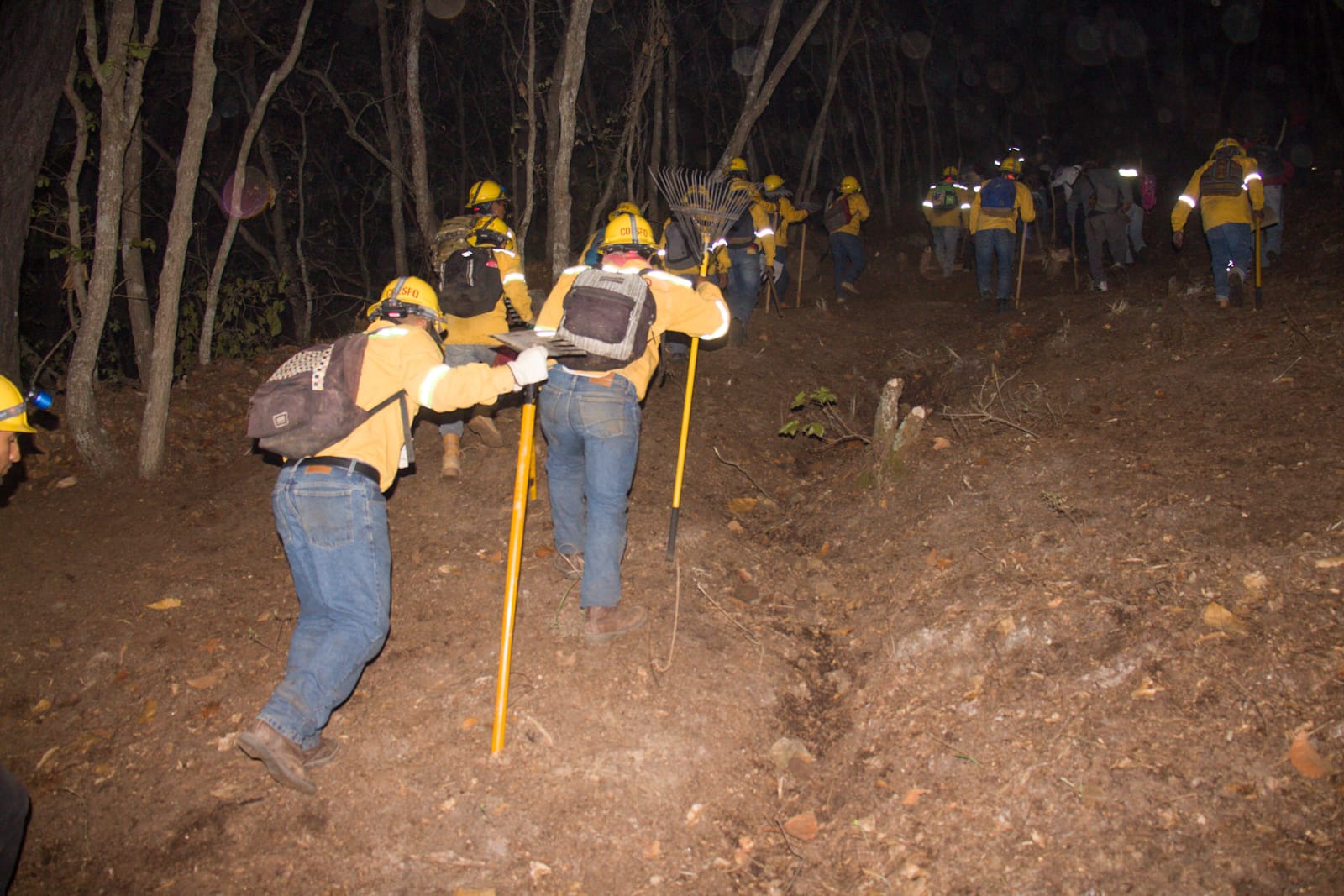 Mantiene Coesfo protocolos de respuesta inmediata ante incendios