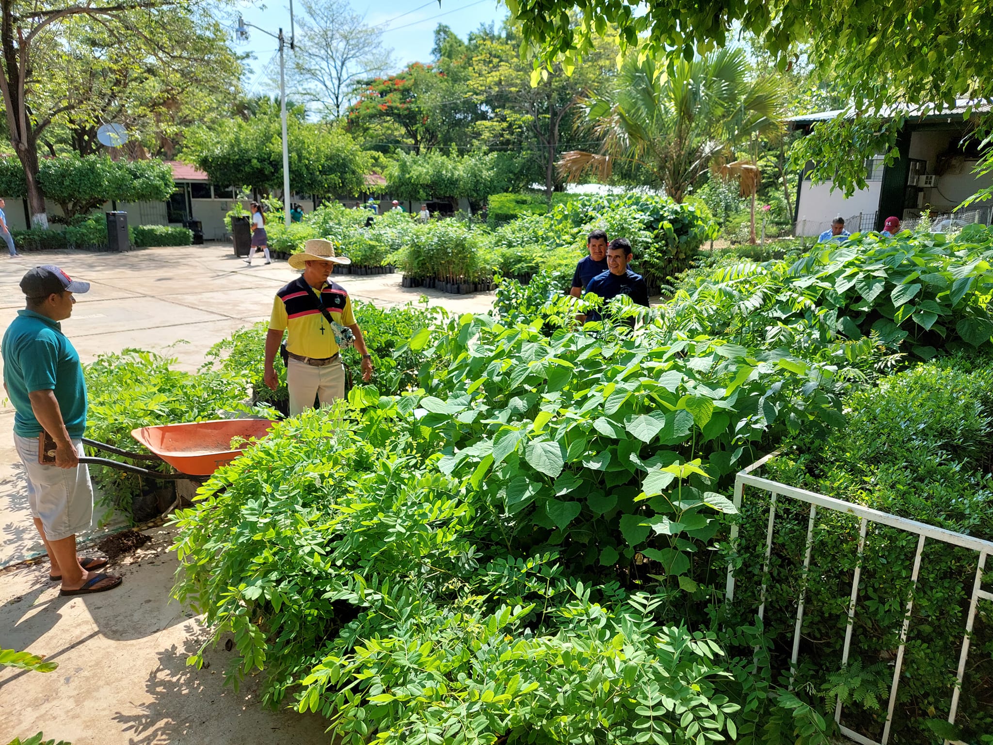 CBTa 10 dona más de 40 mil árboles para reforestar la Costa CBTa 10 dona más de 40 mil árboles para reforestar la Costa