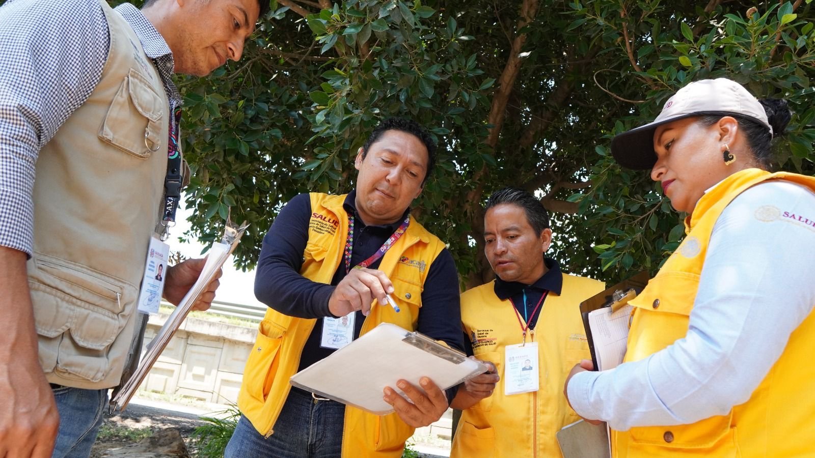 Acciones de patio limpio evitan la propagación del dengue: SSO