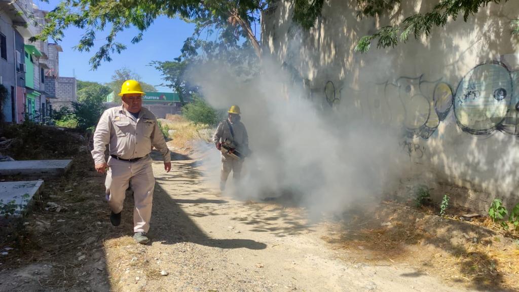 Cierra enero con 35 casos de dengue en Oaxaca￼