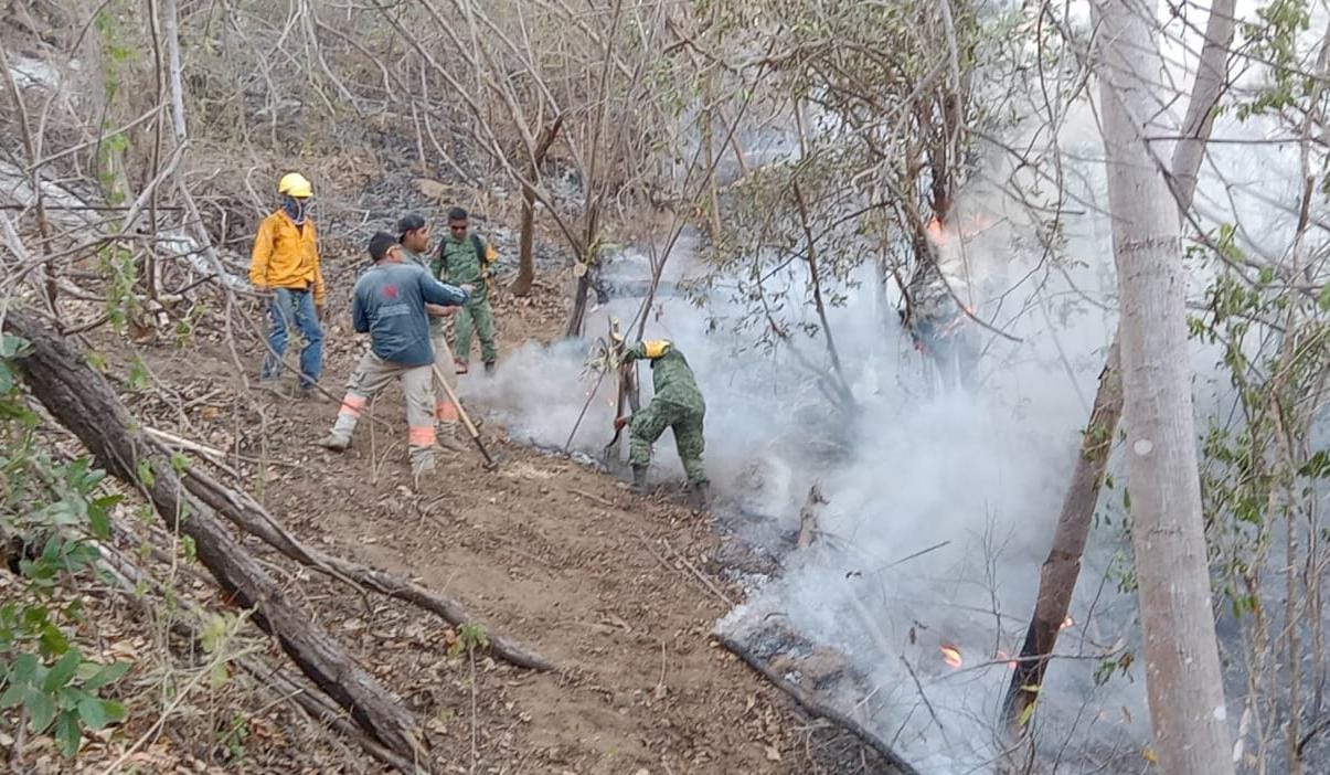 Liquida COESFO incendio en la Costa