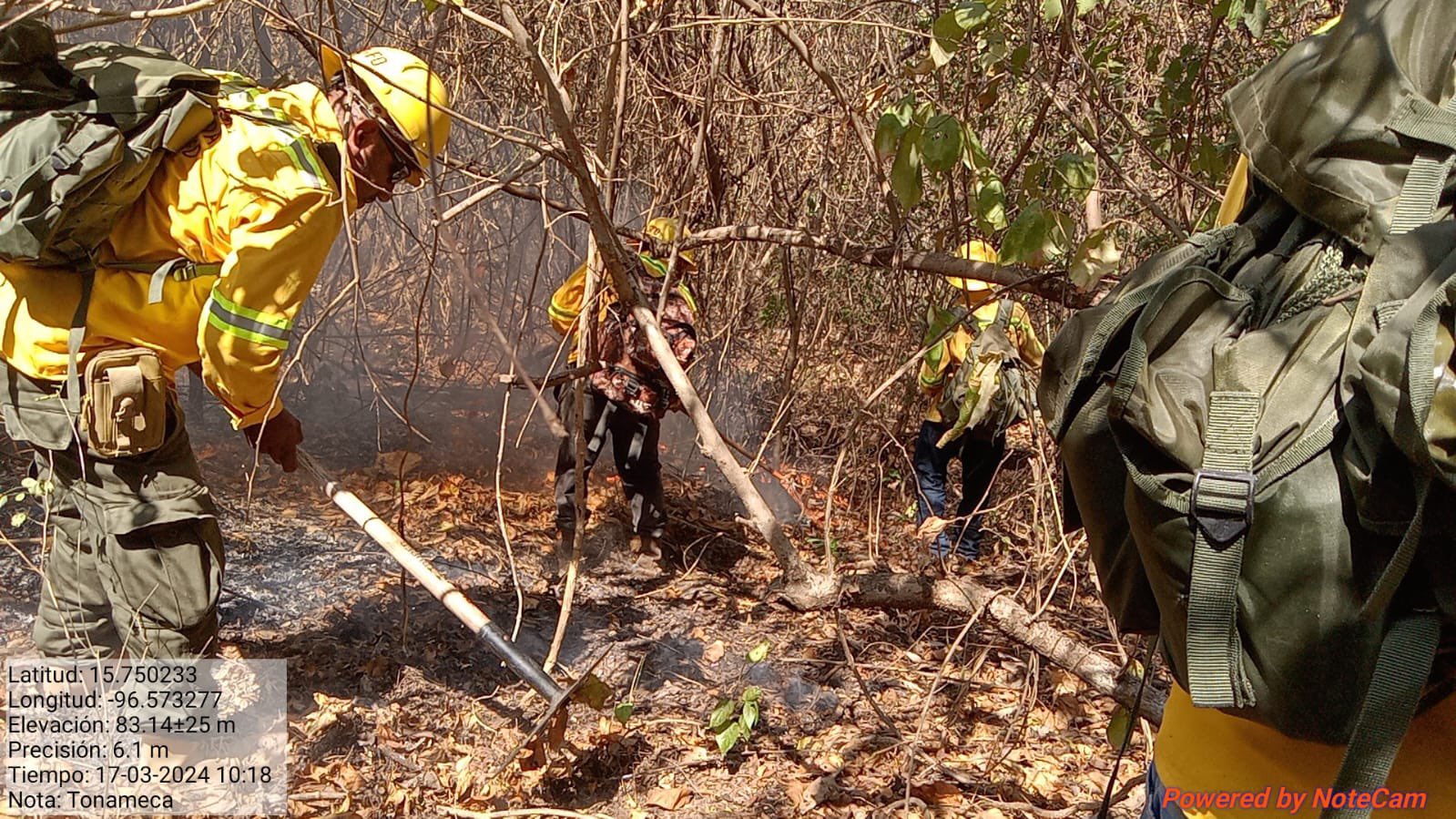 Brigadistas buscan sofocar incendio forestal en Tonameca