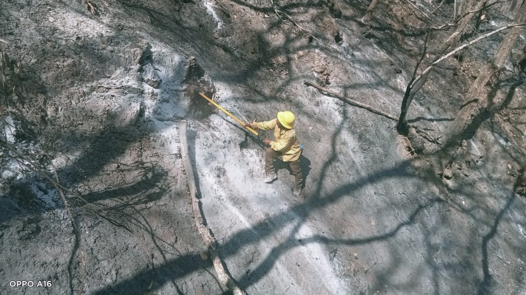 Incendio originado en San Lucas Quiaviní controlado al 90% y liquidado al 50%