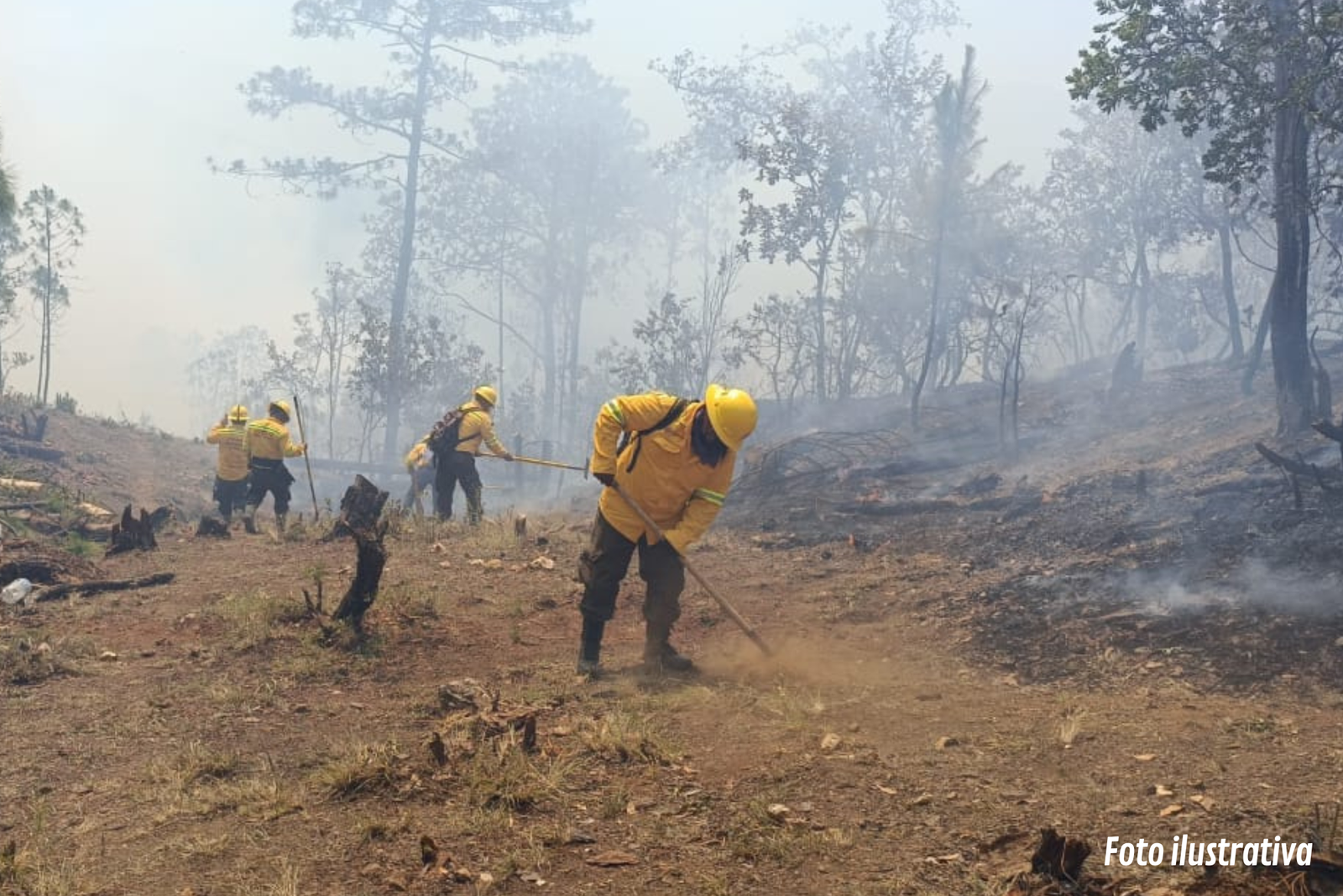 Se reactiva incendio forestal en Santa María Colotepec