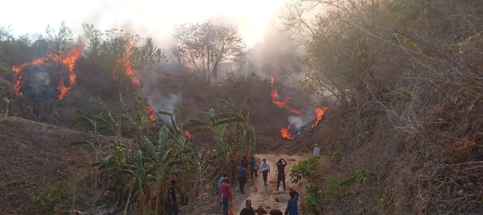 Con helicóptero de la Sedena buscan liquidar incendio forestal en la Costa de Oaxaca
