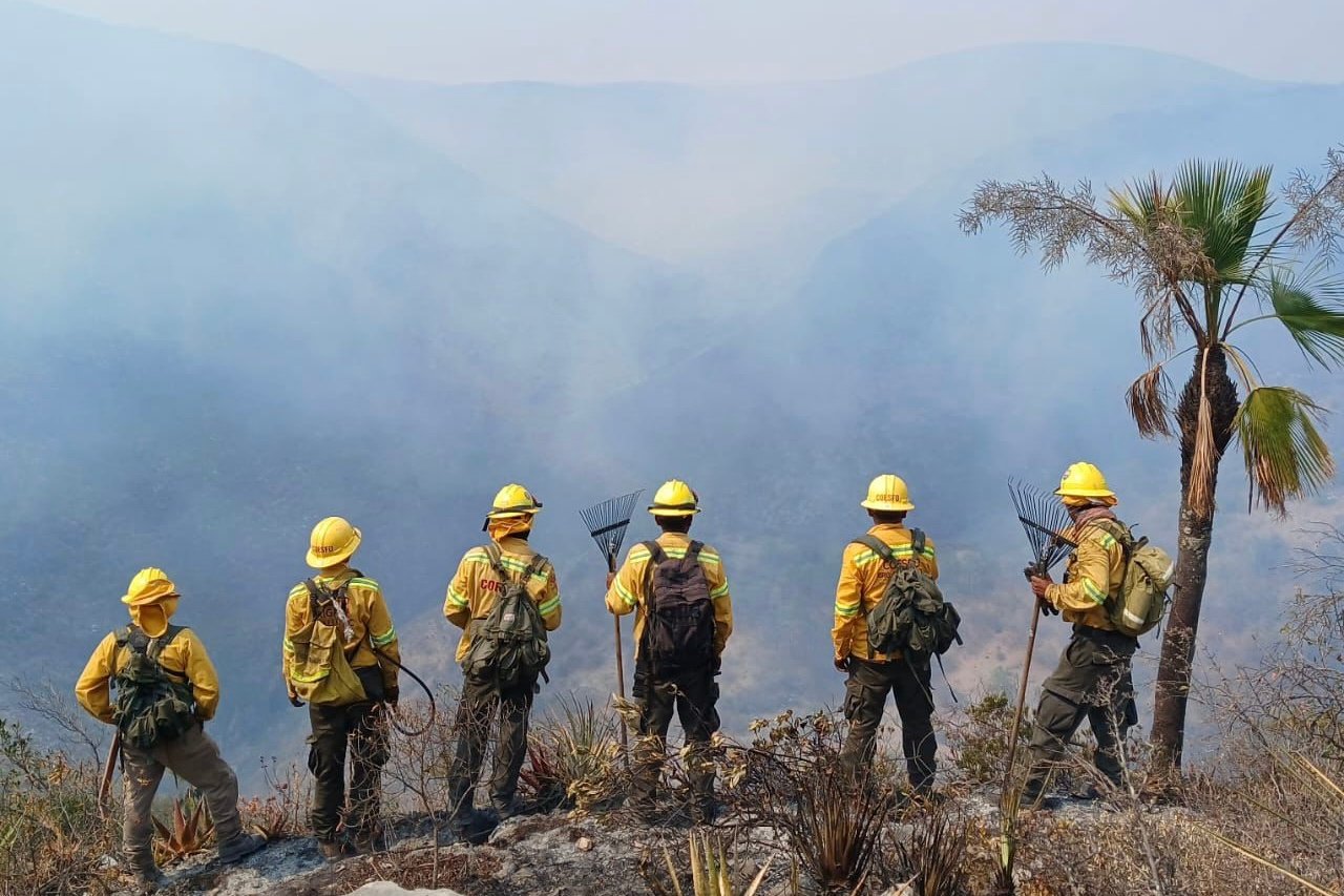 Reporta Coesfo 10 incendios forestales activos en Oaxaca