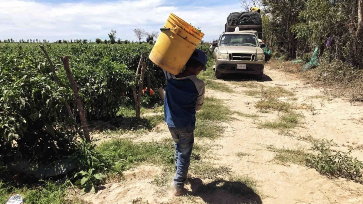 El trabajo infantil en Oaxaca