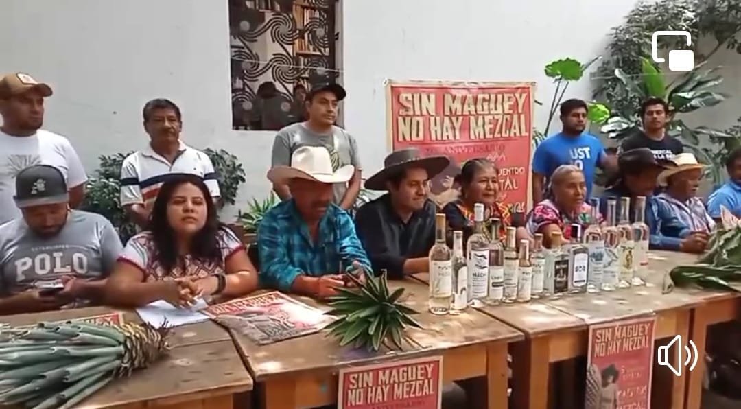 Alistan Quinto Encuentro Estatal de Maestros del Mezcal