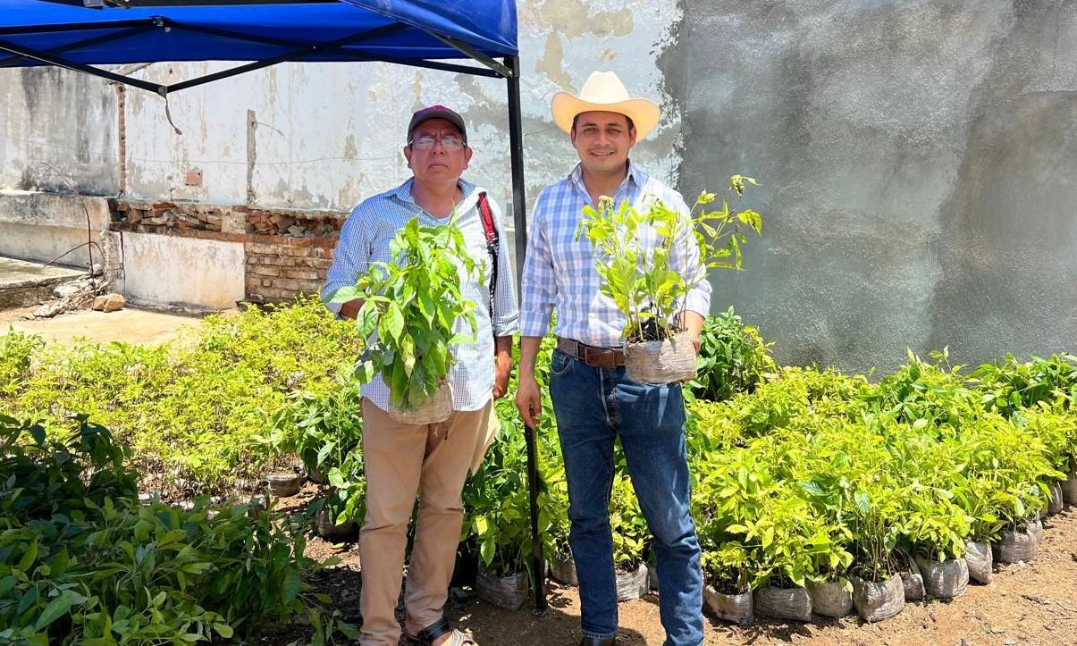 Ganaderos implementan acciones de reforestación, buscan mitigar estiaje y sequía