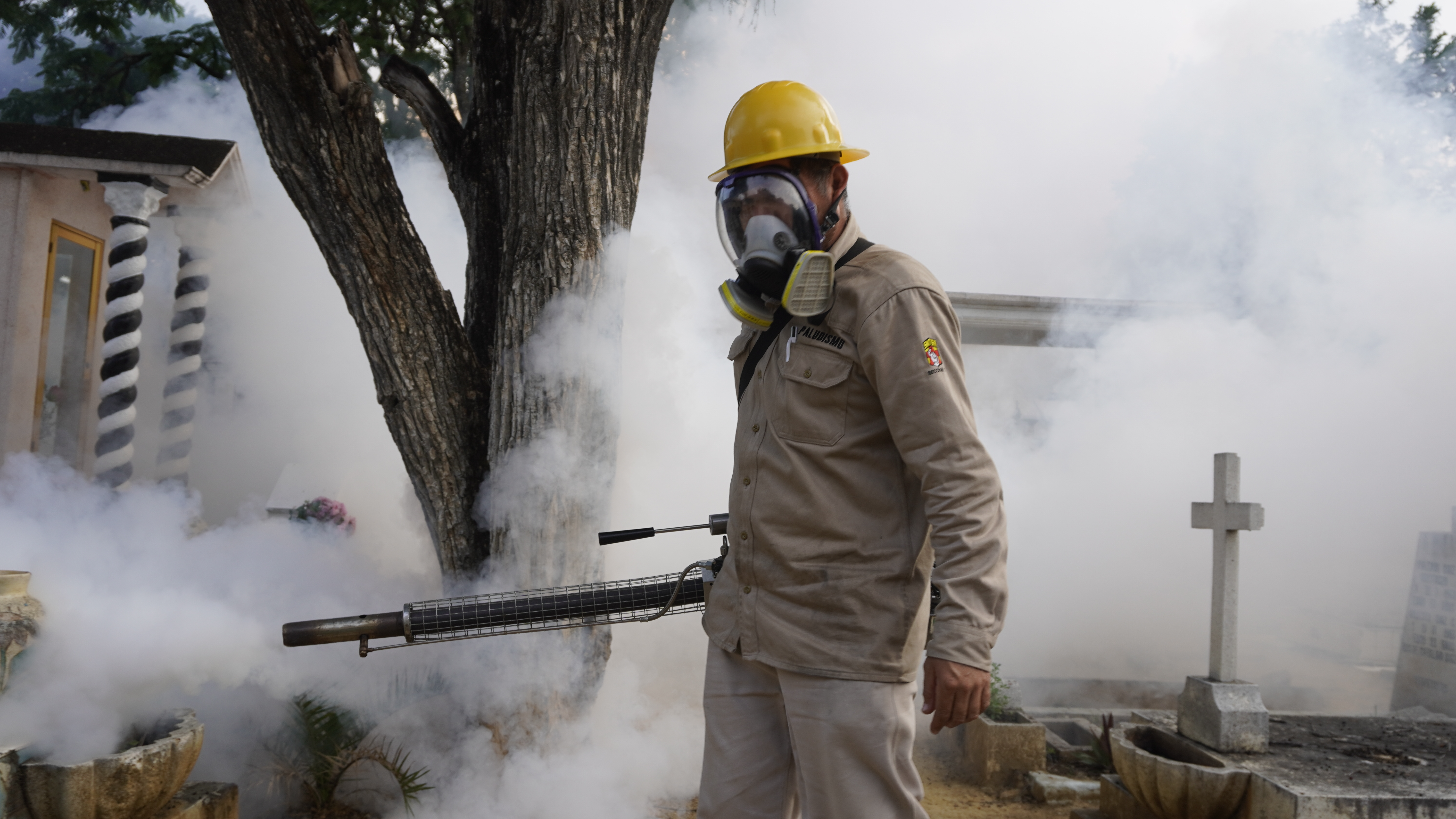 Acumula Oaxaca 3 mil 839 casos de dengue y 17 defunciones