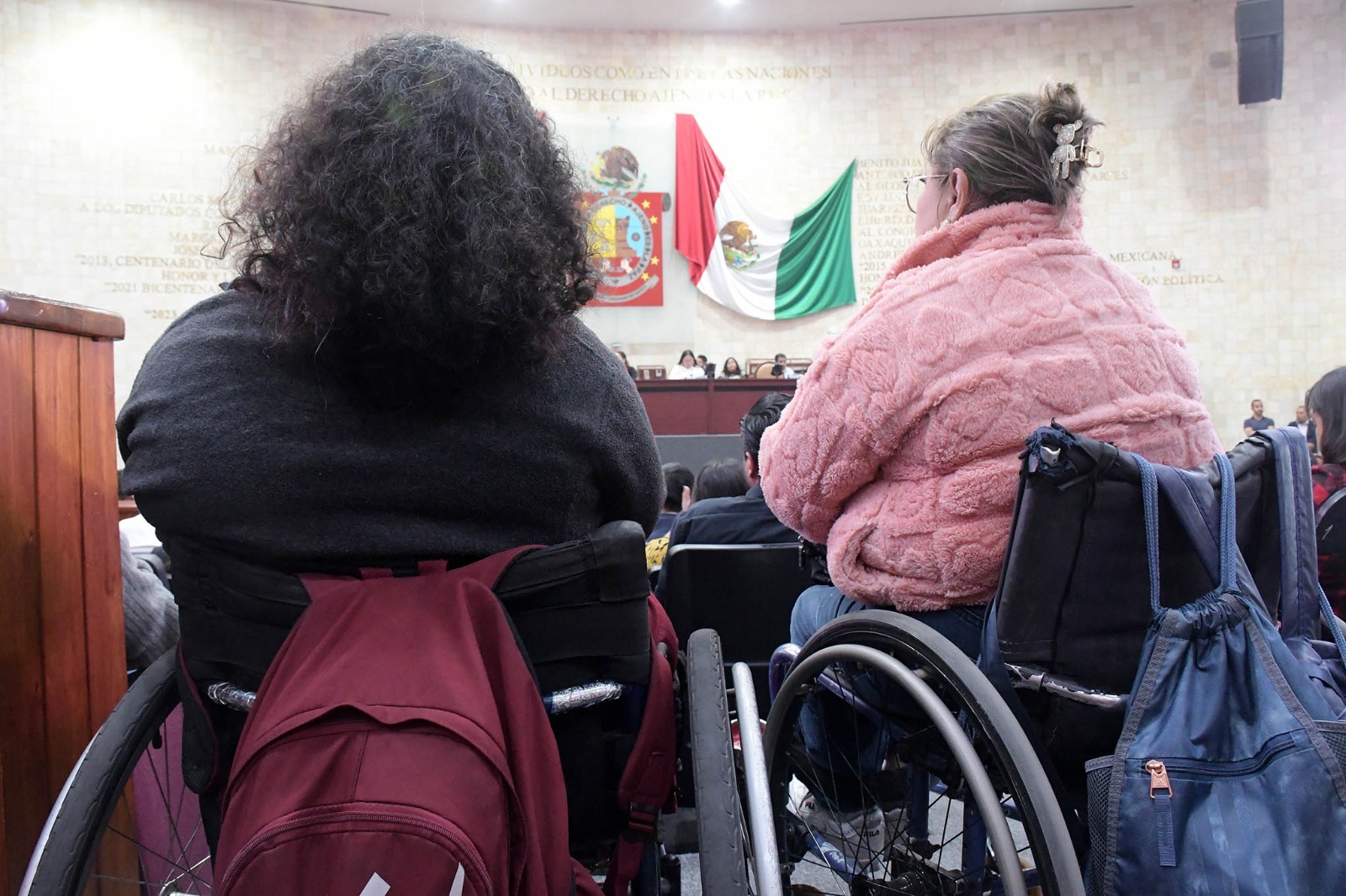 Diputadas trabajan para garantizar los derechos de las personas con discapacidad