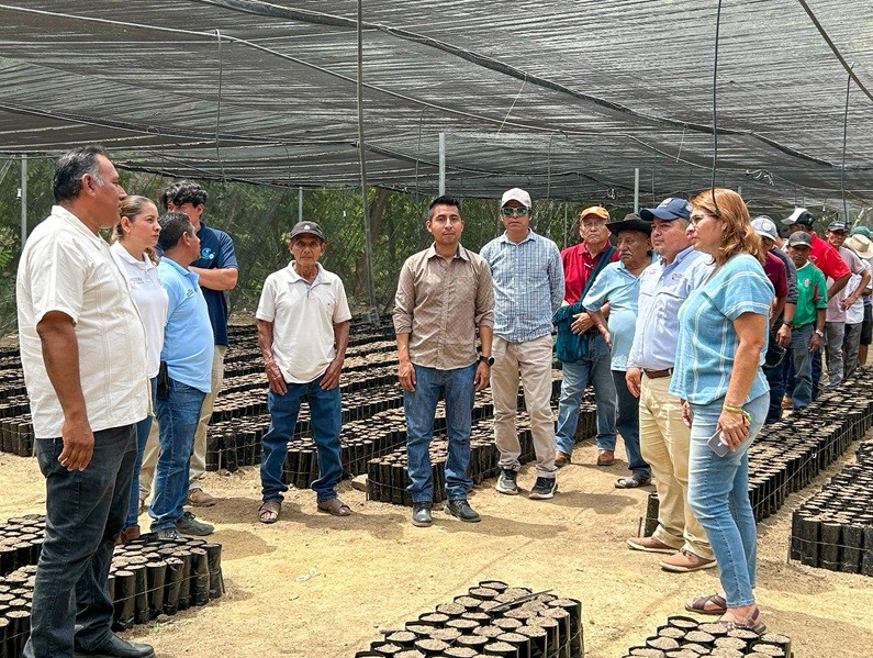 Inaugura Coesfo dos viveros de café en San Gabriel Mixtepec