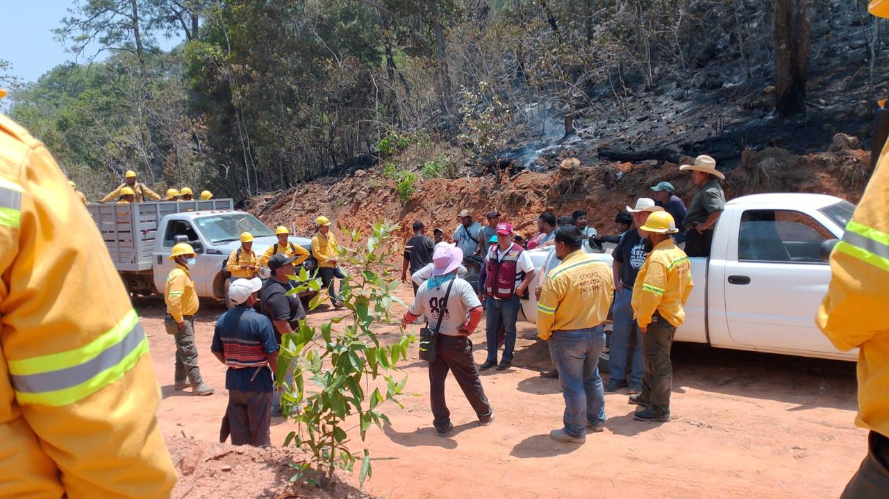 Atiende Coesfo incendio forestal en Putla Villa de Guerrero