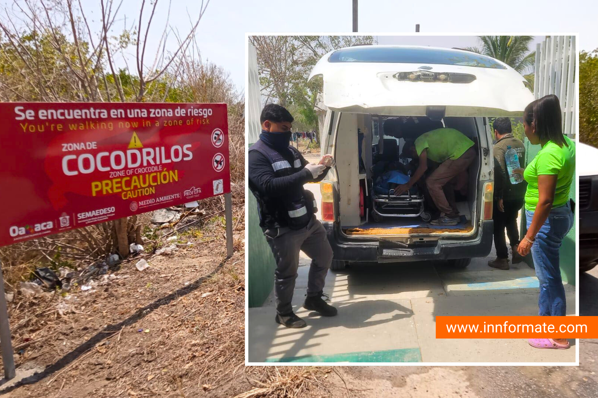 Cocodrilo ataca a menor en laguna de Pinotepa Nacional