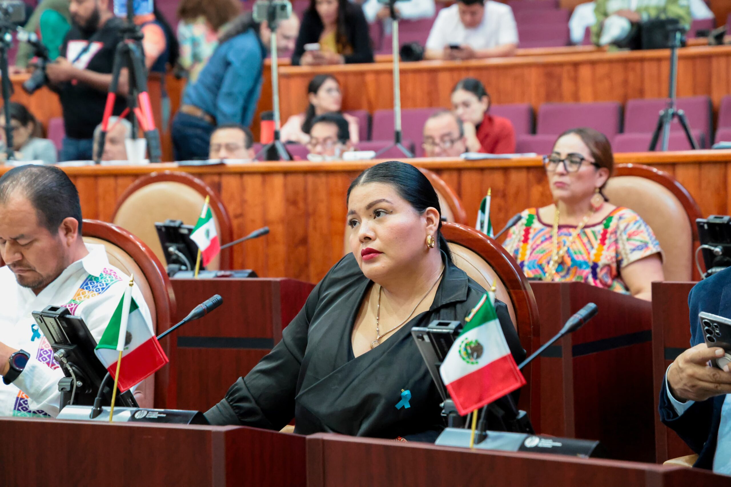 Diputada Monserrat Herrera se pronuncia a favor de la inclusión de las personas con autismo