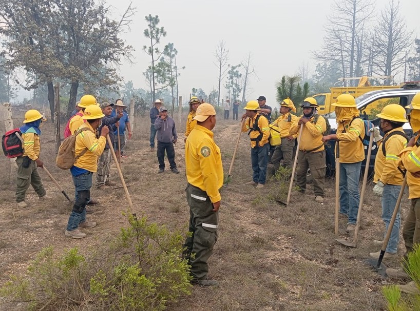 Registra Oaxaca 168 incendios forestales￼
