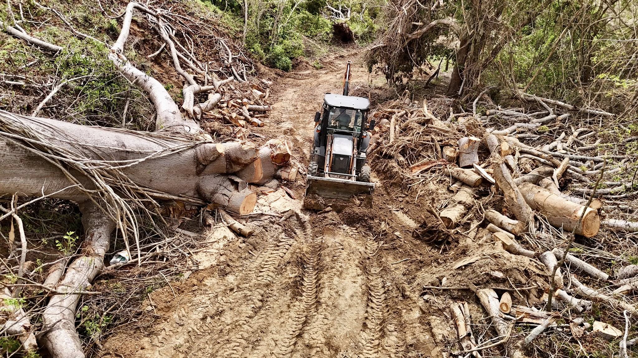 Inicia Oaxaca fase de reconstrucción tras el paso del huracán Erick